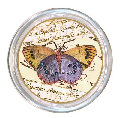 Butterfly 1 Coaster