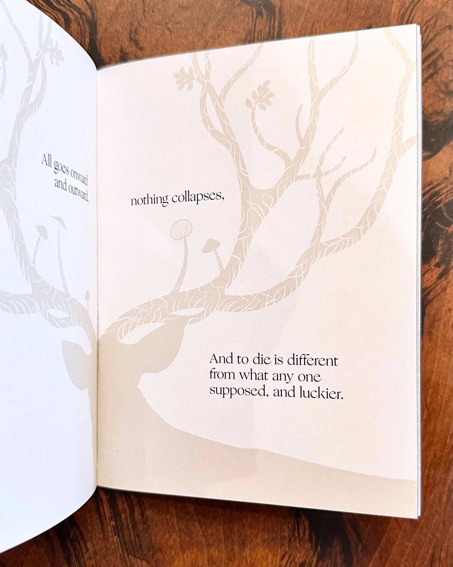 Song of Myself — Walt Whitman - image 4