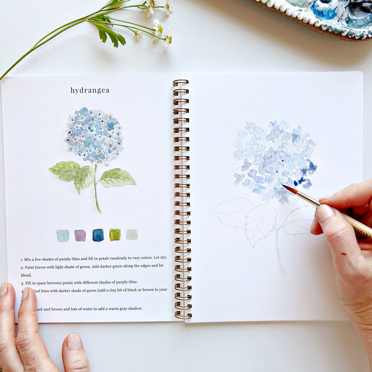 Watercolor Workbook – Flowers