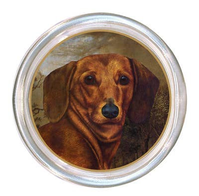 Red Dachshund glass coaster