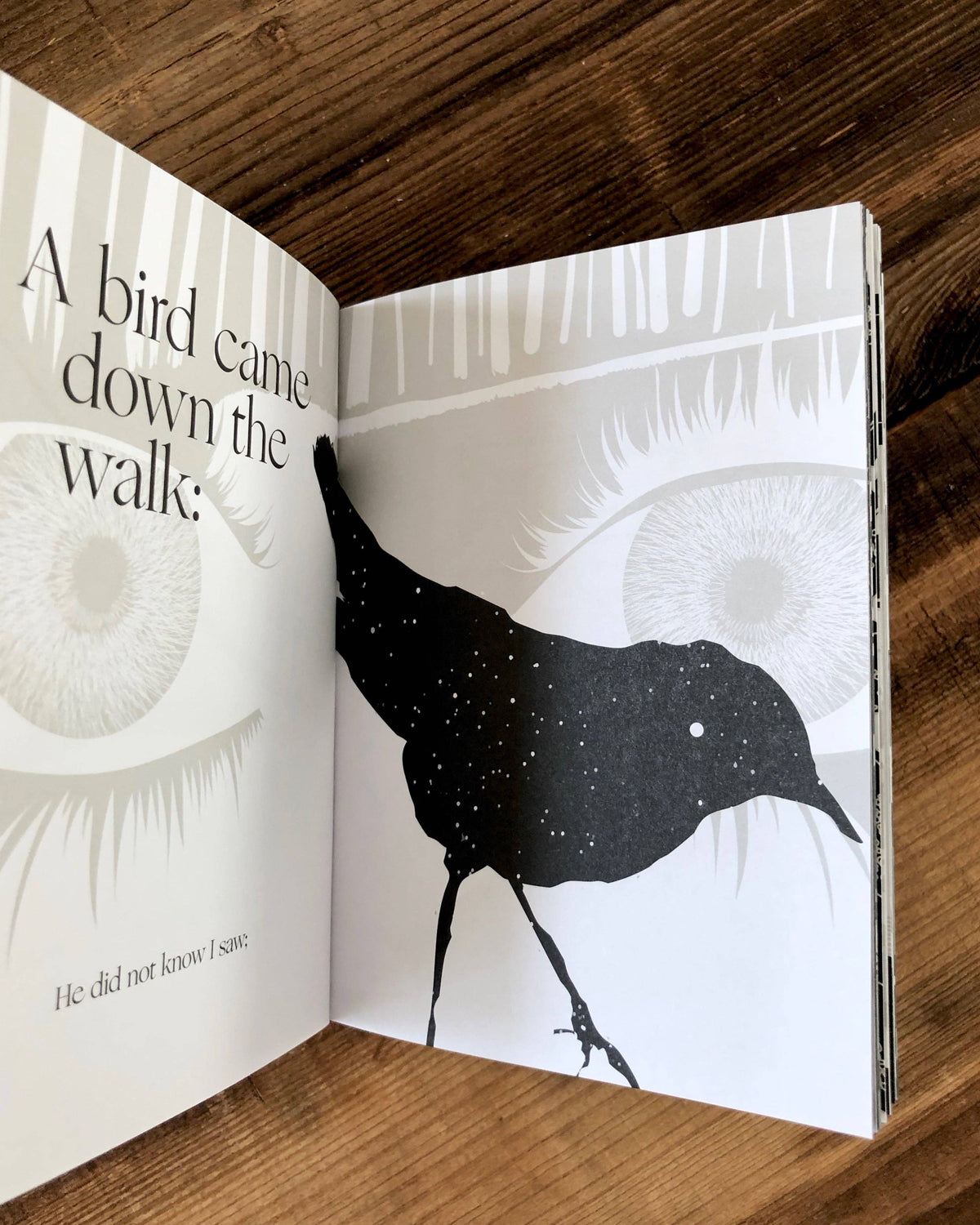 Hope Is the Thing — Emily Dickinson - image 4