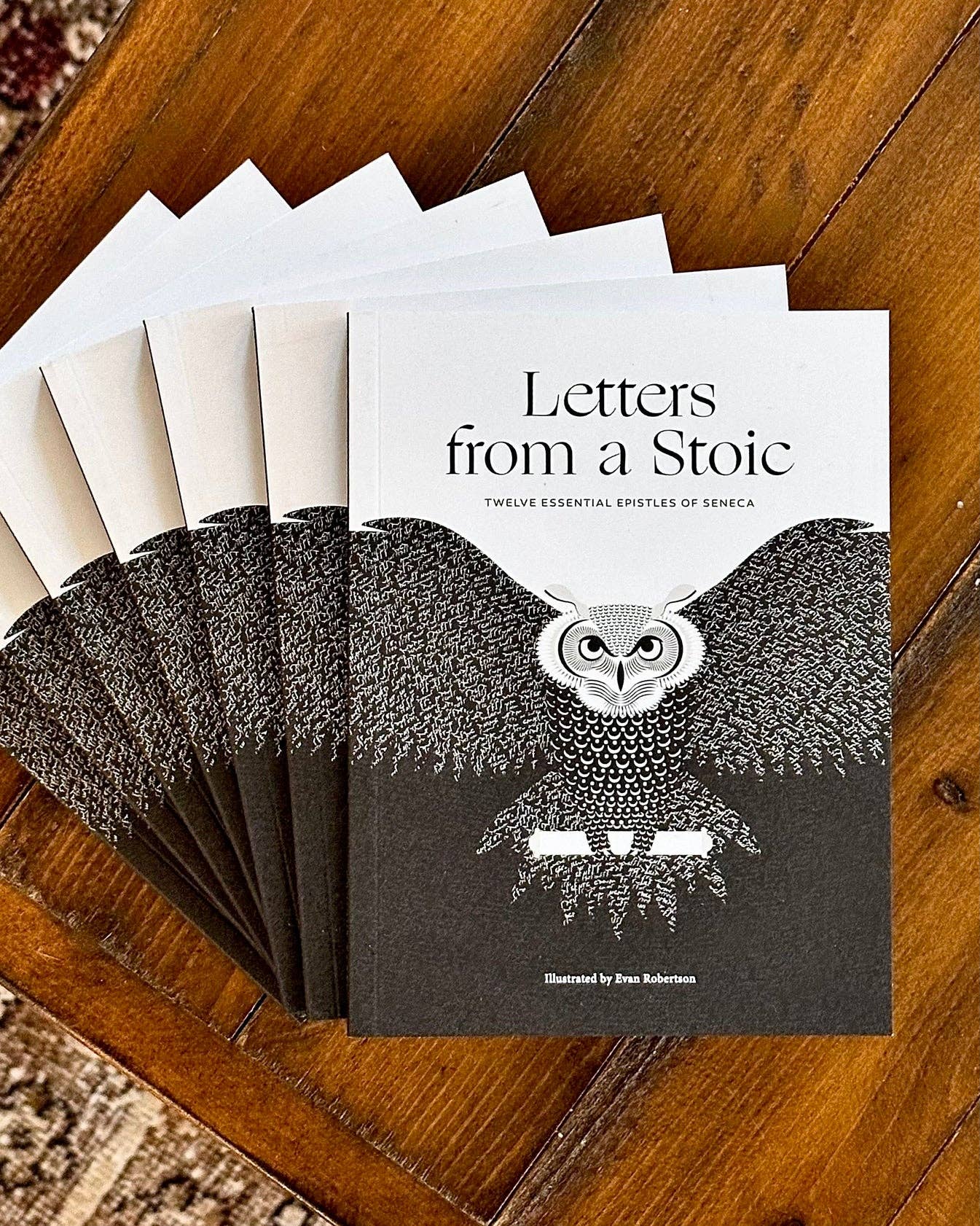 Letters from a Stoic — Seneca (Pocket Edition) - image 2