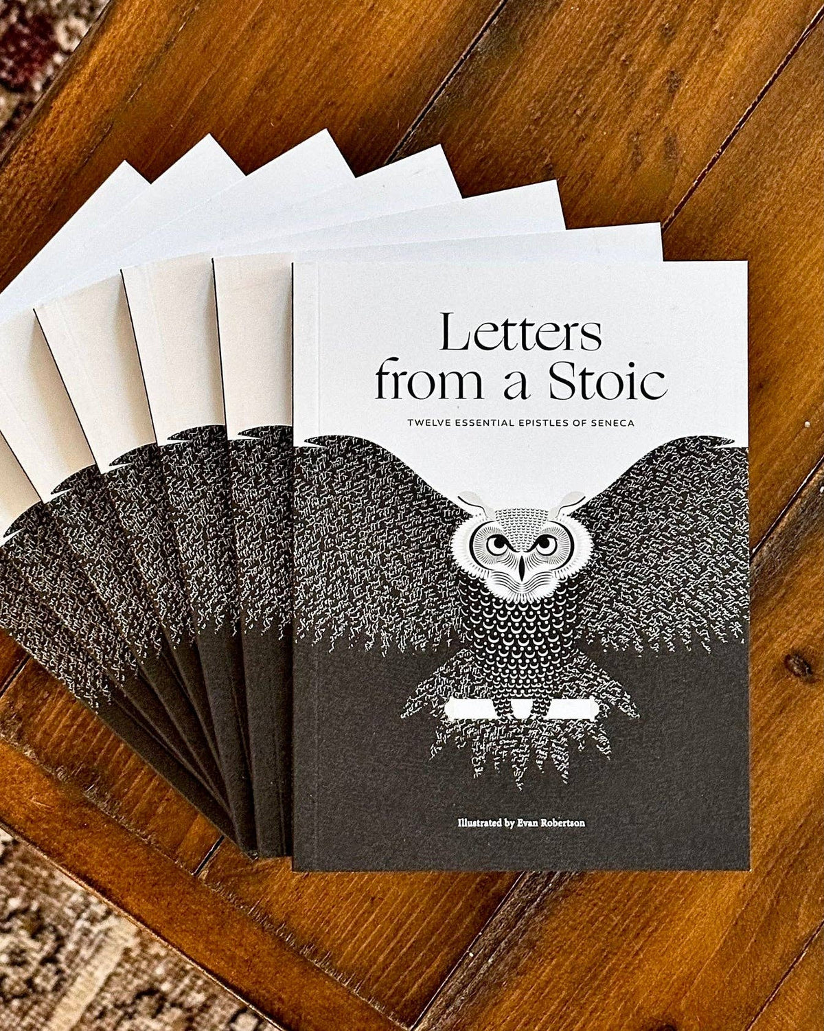 Letters from a Stoic — Seneca (Pocket Edition) - image 2