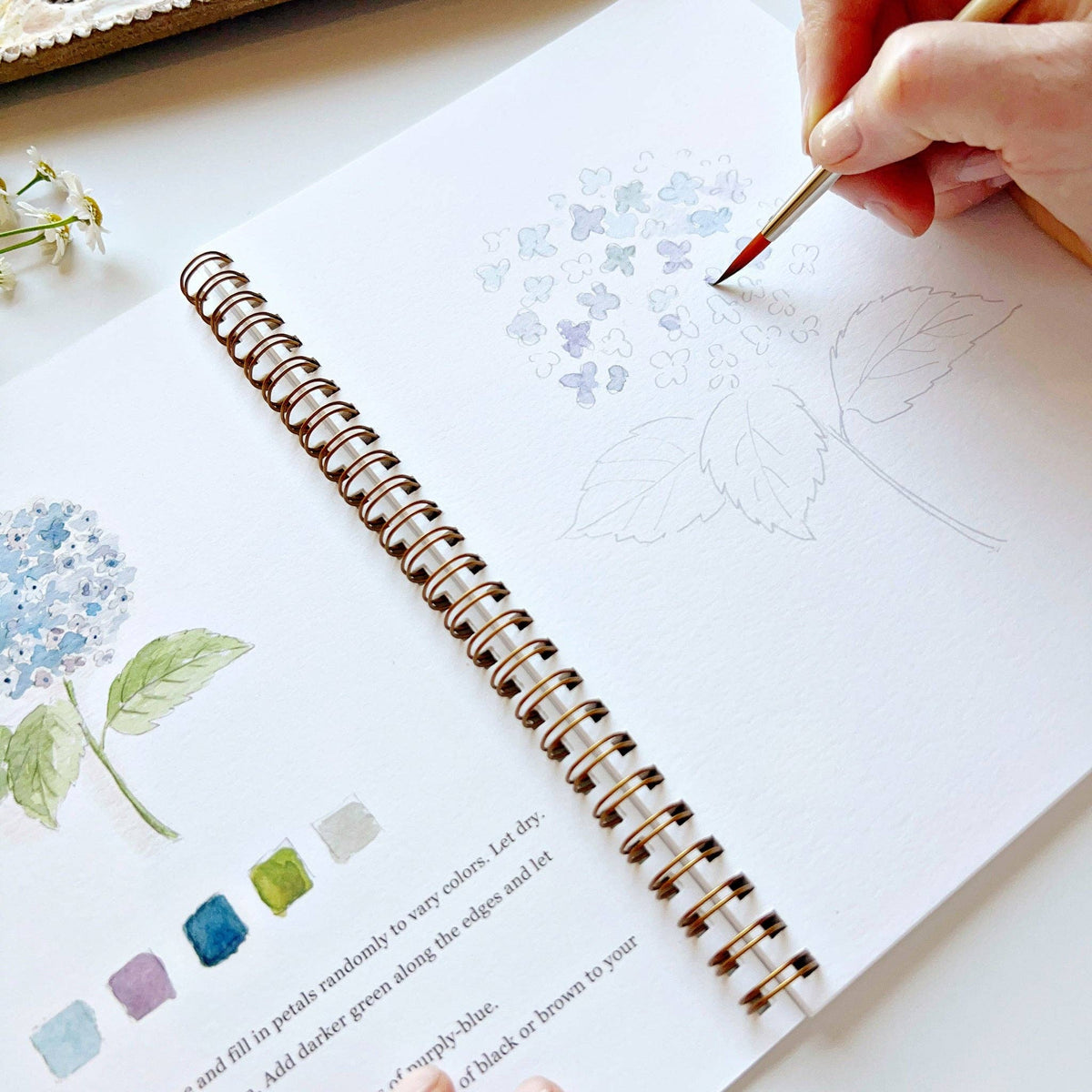 Watercolor Workbook – Flowers