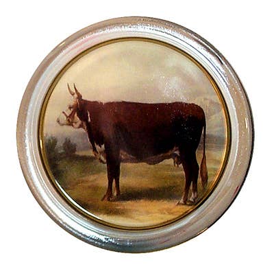 Cow Facing Left Coaster