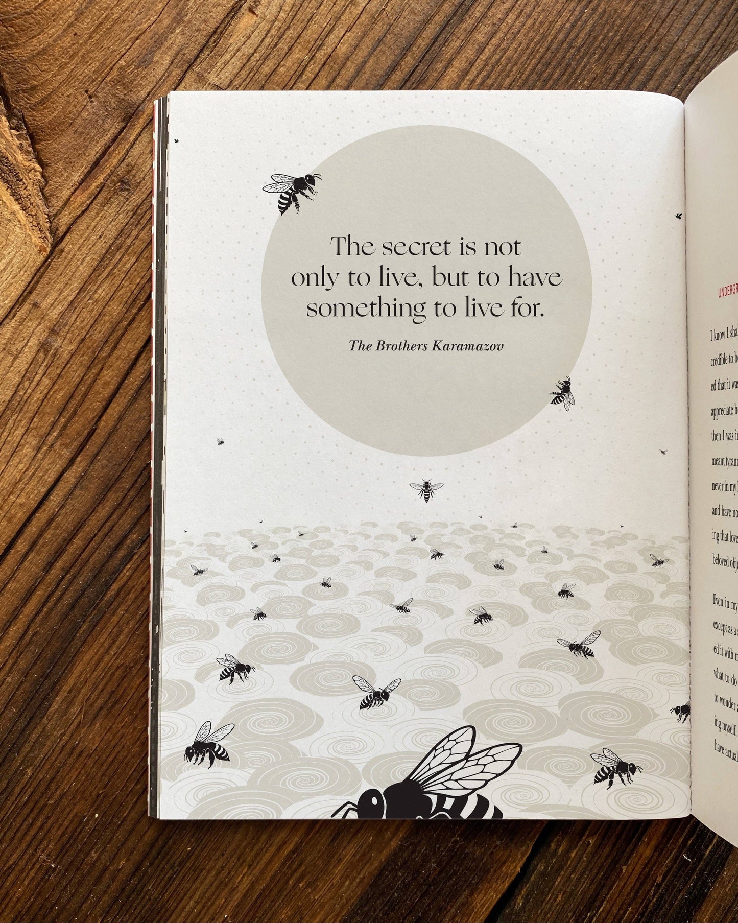 Dostoevsky’s Philosophy - image 6