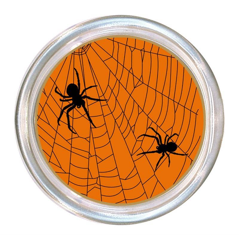 Two Spiders on Web glass coaster