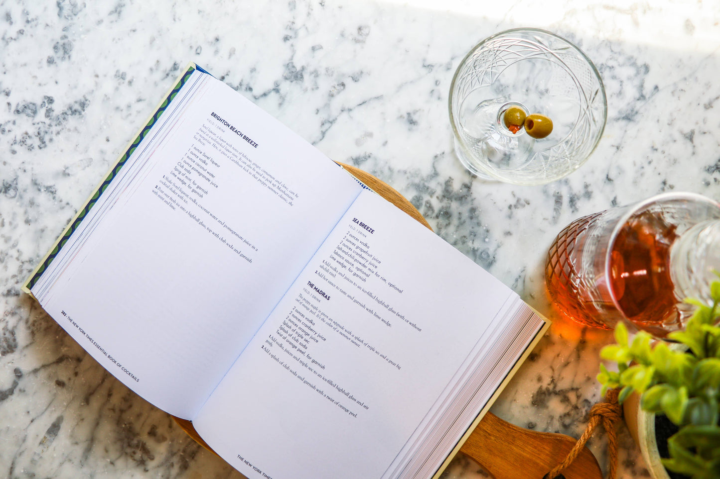 New York Times Essential Book of Cocktails
