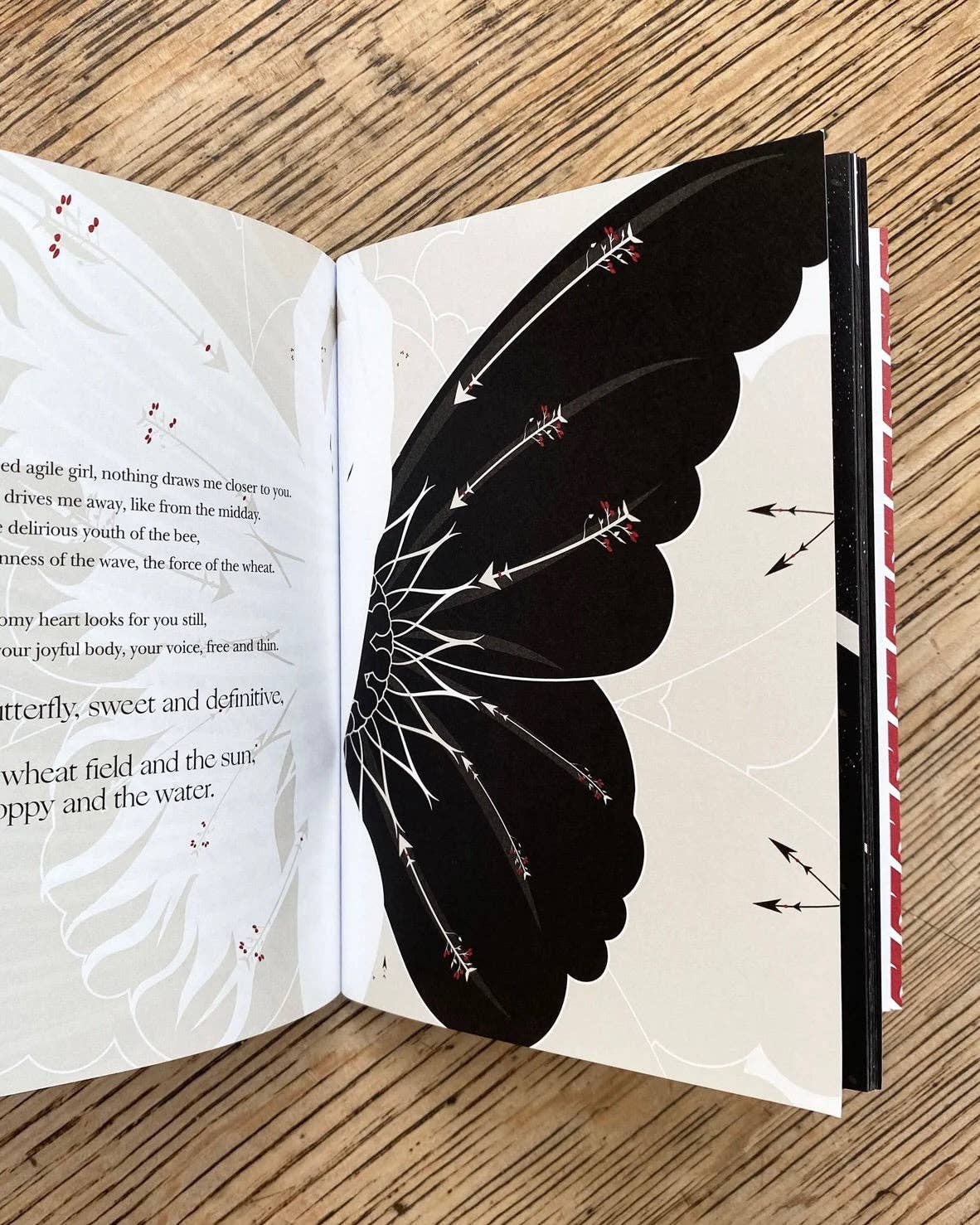 Twenty Love Poems and a Song of Despair — Pablo Neruda - image 6