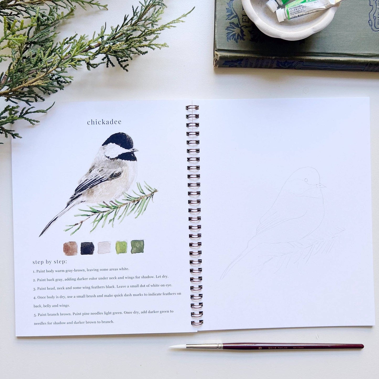 Watercolor Workbook- Birds