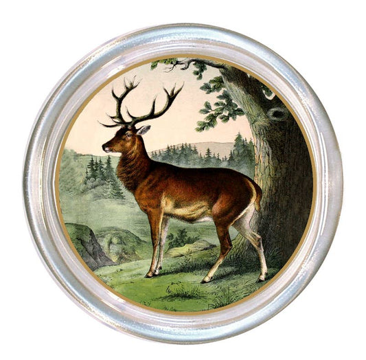 A Stag glass coaster