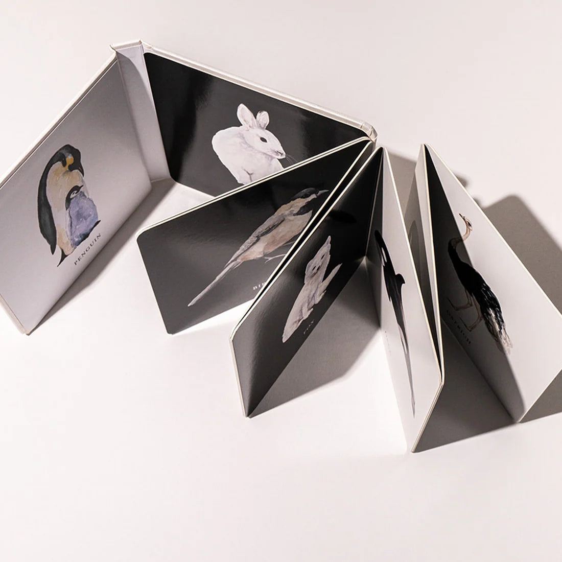 Black & White Contrast Book
