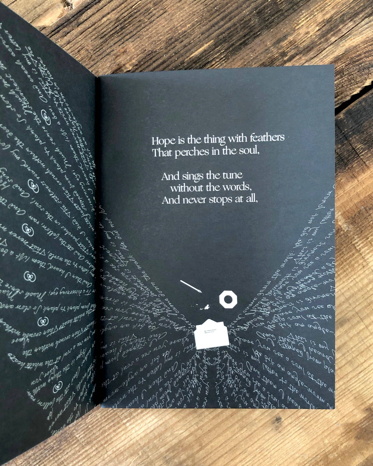 Hope Is the Thing — Emily Dickinson - image 9