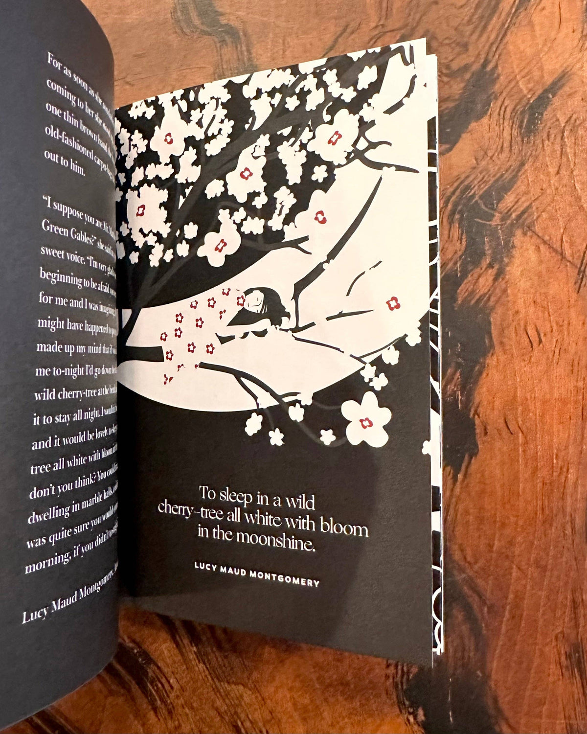 Women Writers — Collected Works - image 7