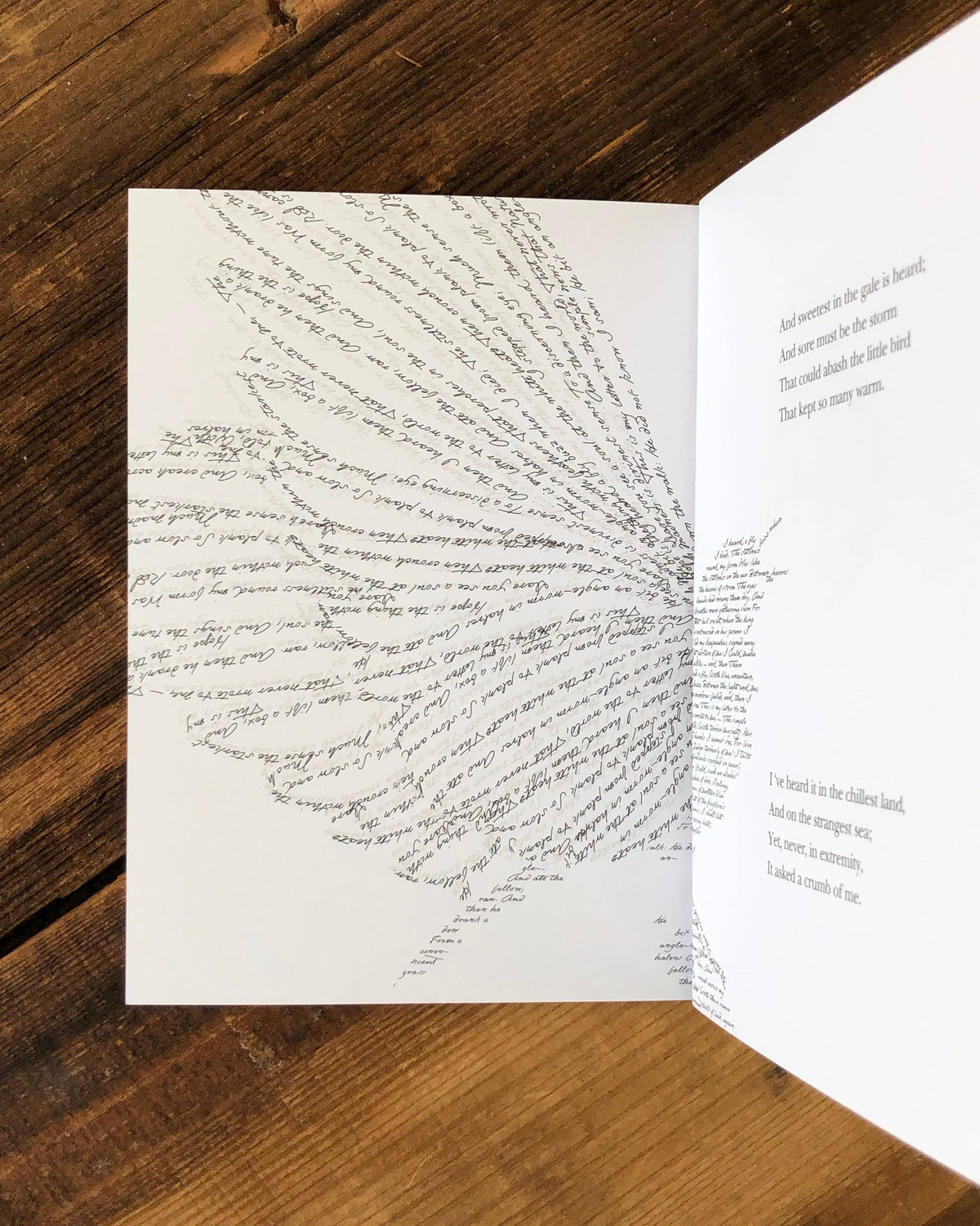 Hope Is the Thing — Emily Dickinson - image 5