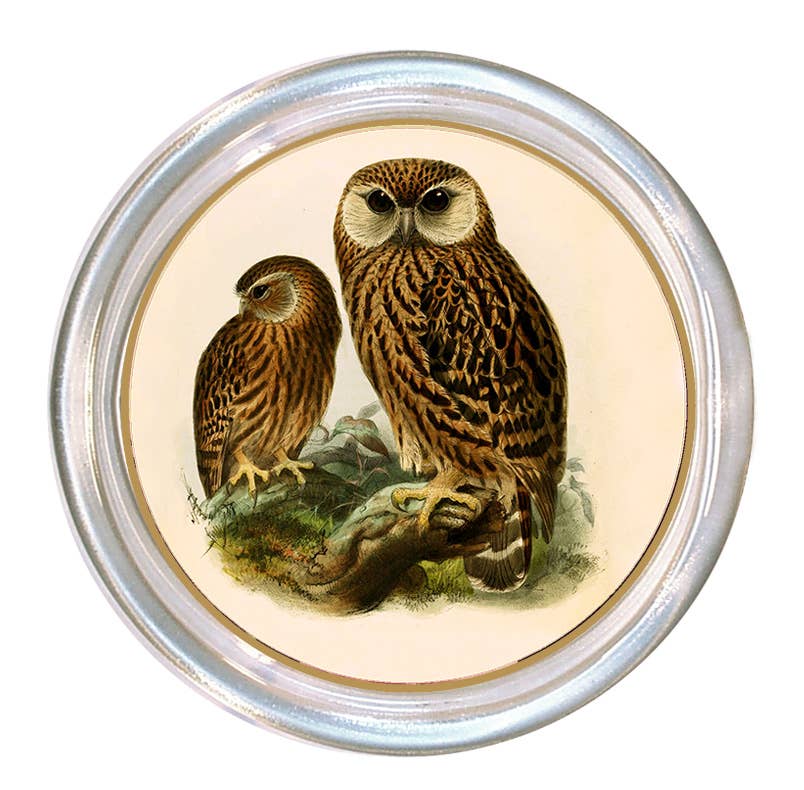 Laughing Owl glass coaster