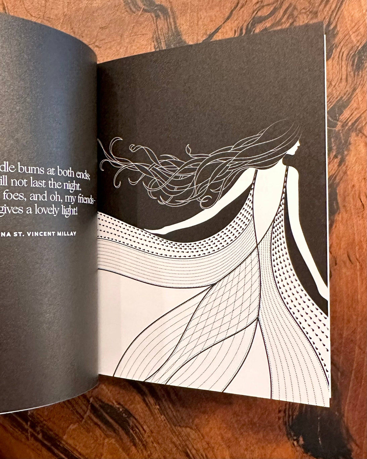 Women Writers — Collected Works - image 5