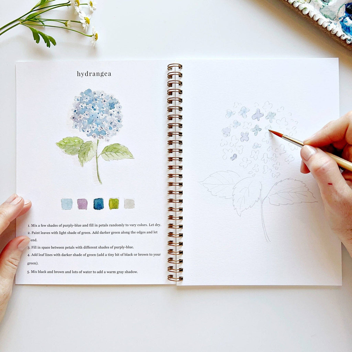Watercolor Workbook – Flowers