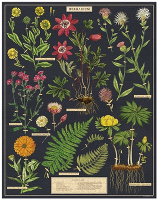 NEW! Vintage Style Puzzle - Herbarium