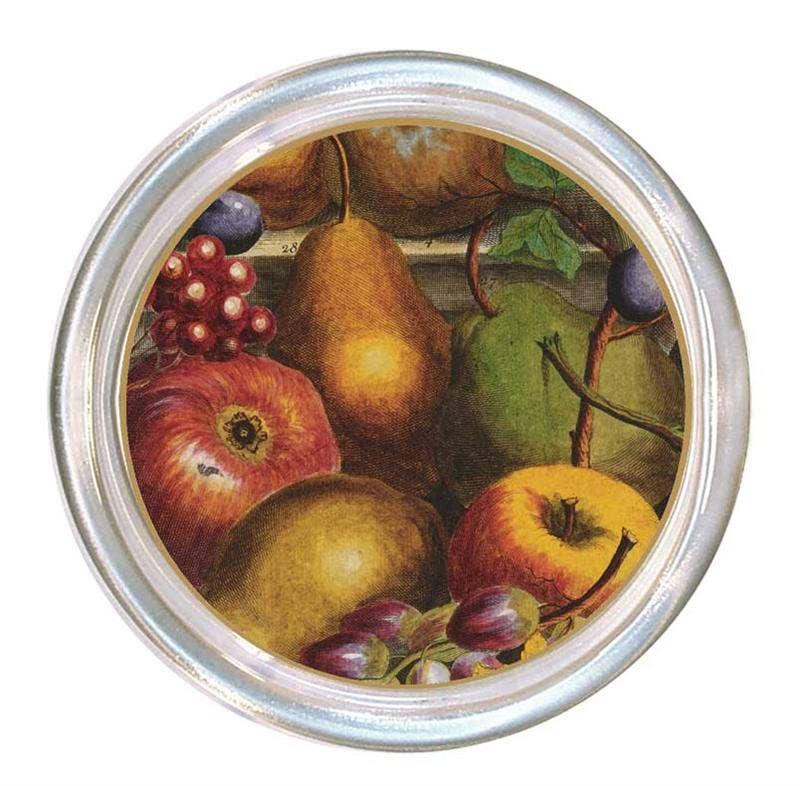 Harvest Fruit Coaster