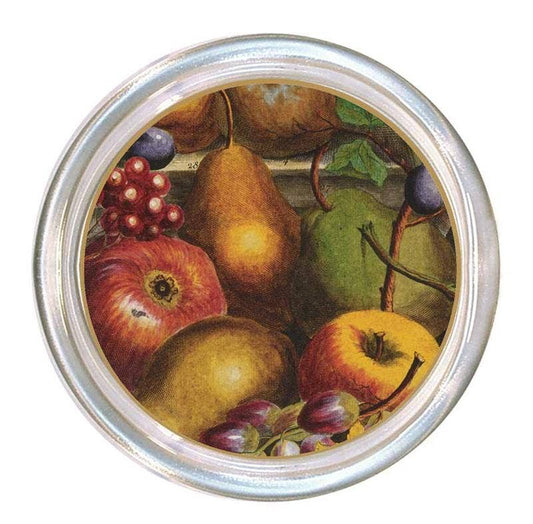 Harvest Fruit Coaster