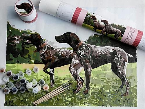 Paint By Number Kit- Dogs